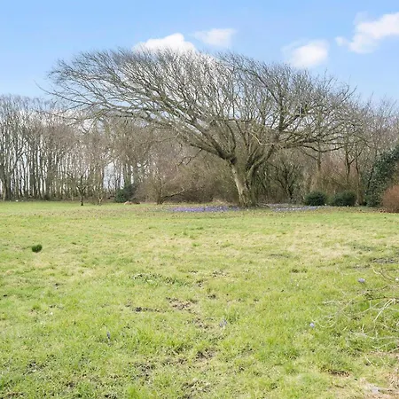 5 Bedroom Lovely In Bovlingbjerg